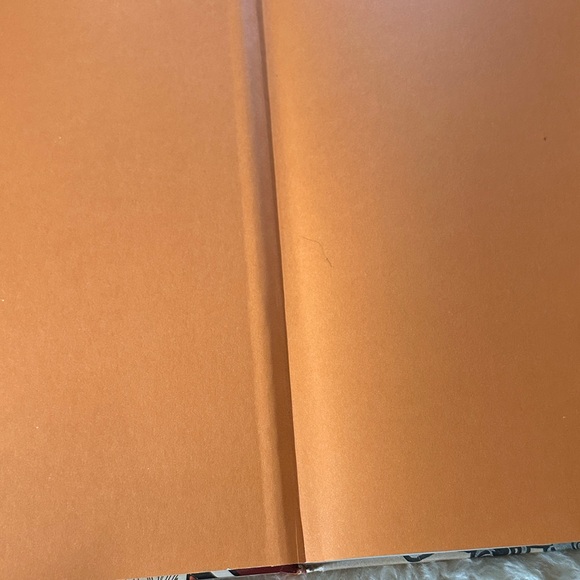 Alphonse Mucha Masterworks Book - Picture 7 of 11